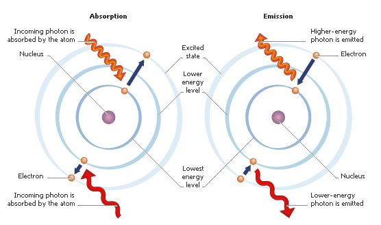 absorption